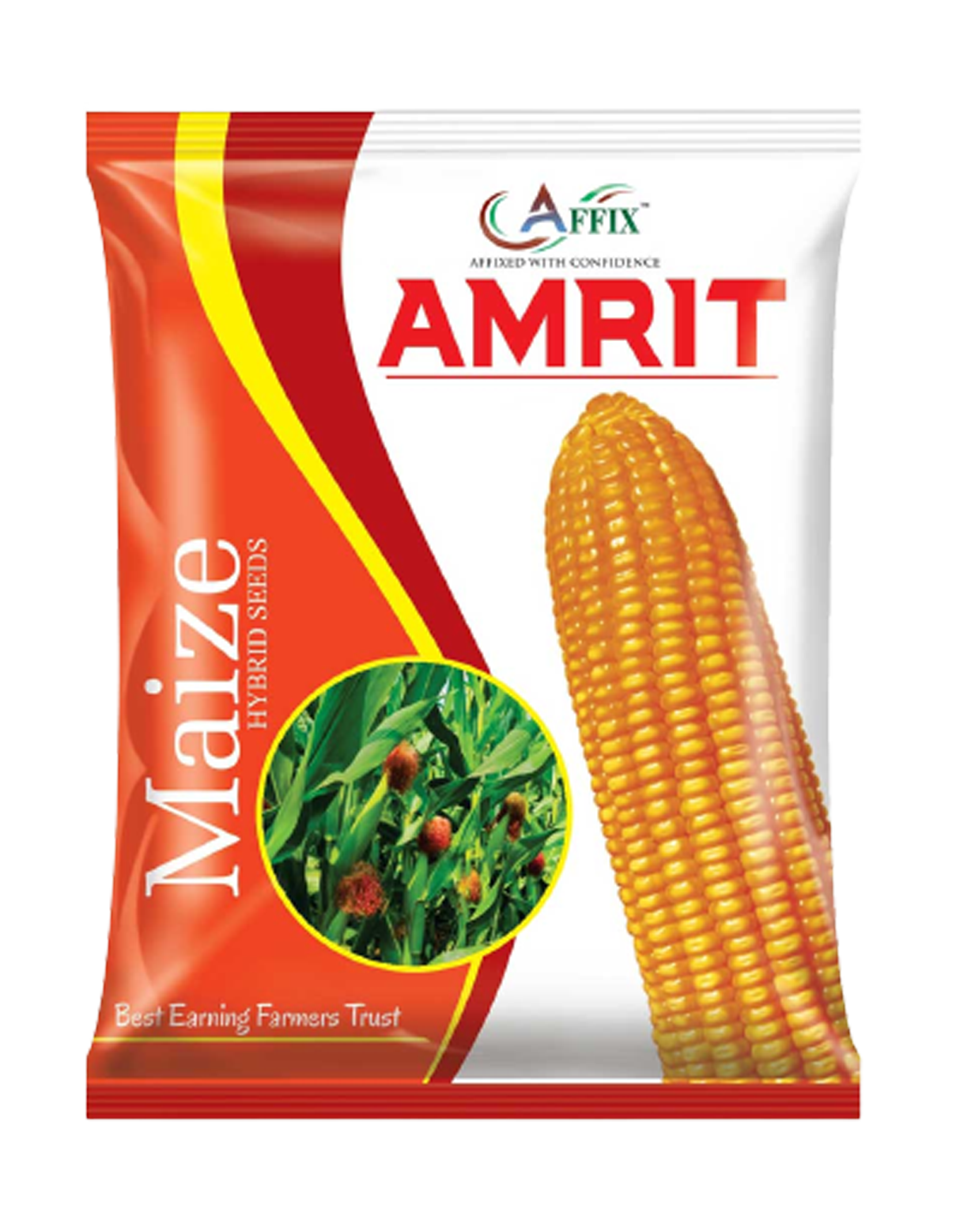 Amrit (Maize) अमृत