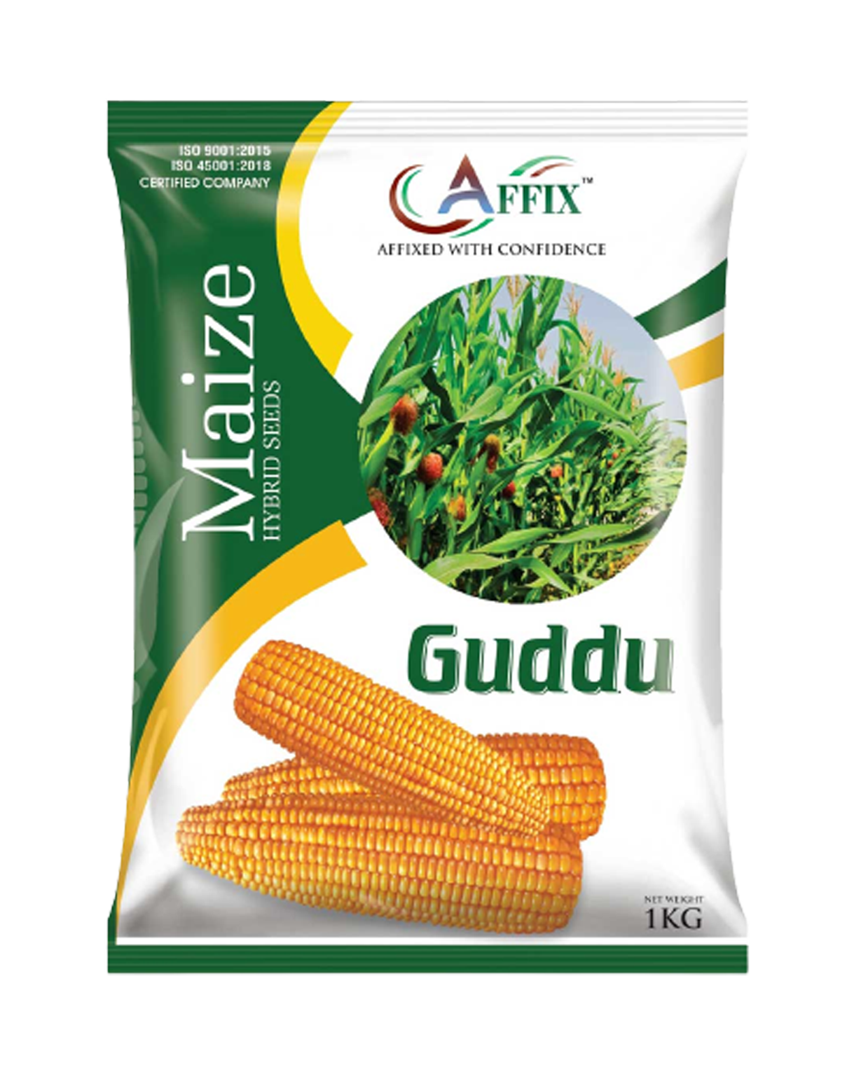 Guddu (Maize)