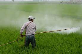 Pesticides (कीटनाशक)