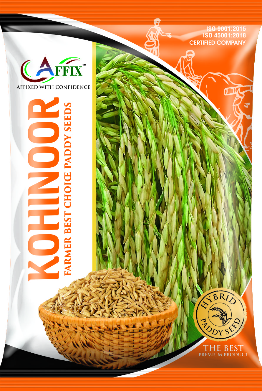 Kohinoor (कोहीनूर) Hy. Paddy Seeds