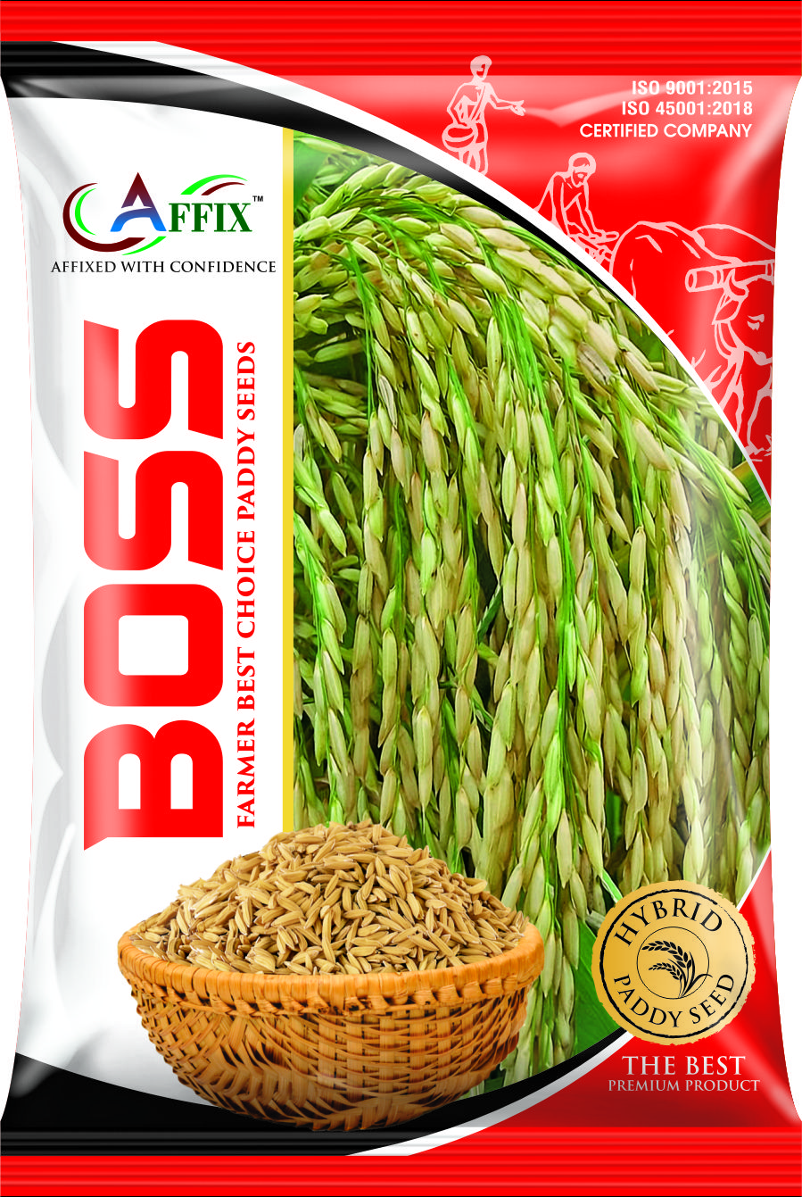 Boss (बॉस) Hy. Paddy Seeds
